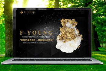 �ӱ��������ﱦʯ